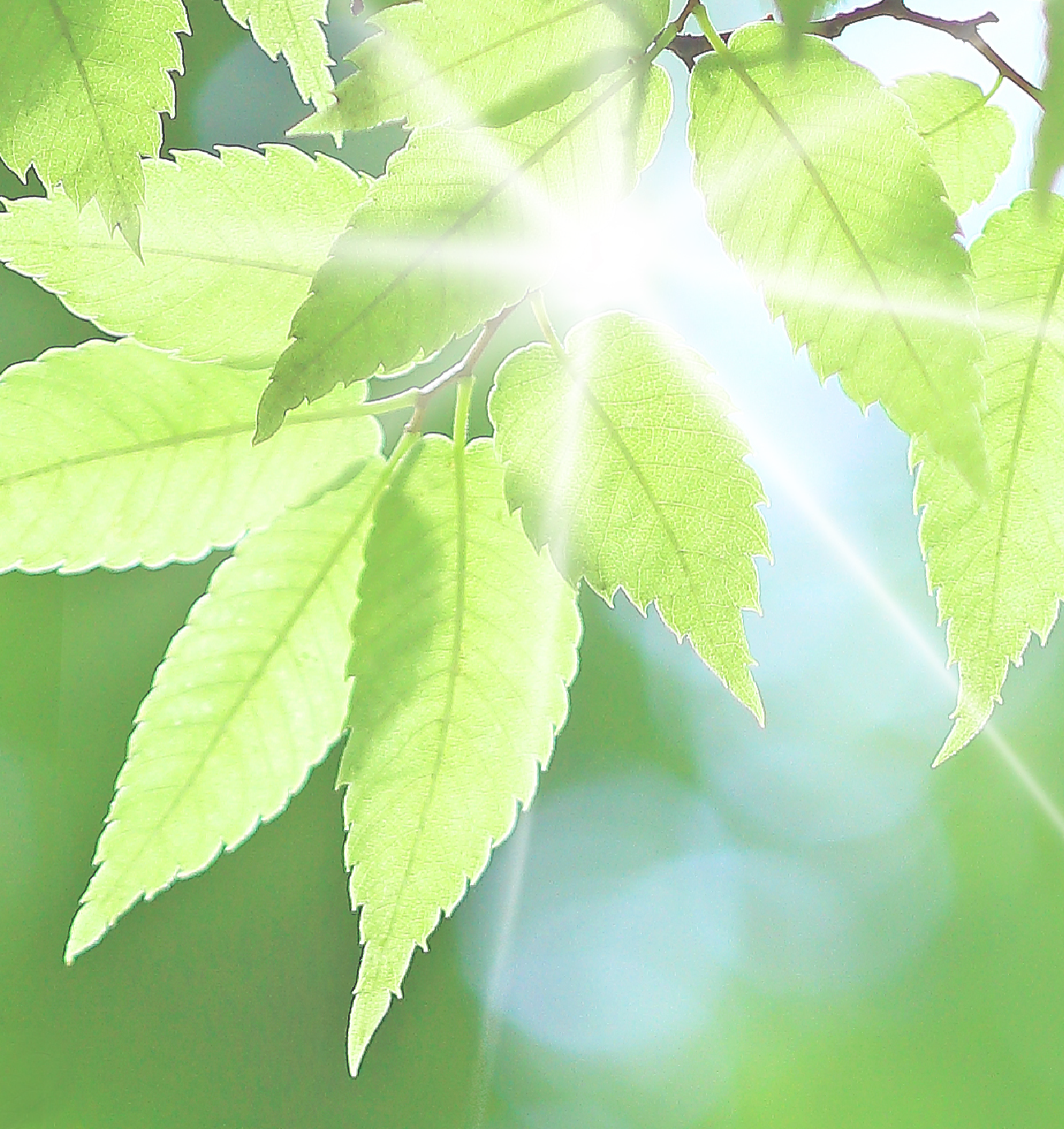 green